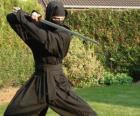 Ninja πολεμιστής και ο αγώνας με την Katana